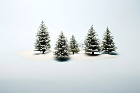 雪背景图片_一组小白松树