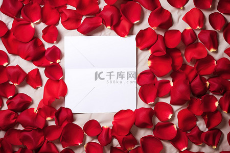 一张空白的复印纸，周围环绕着红色的玫瑰花瓣
