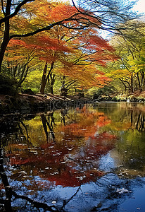 池塘里的秋色倒映着树木