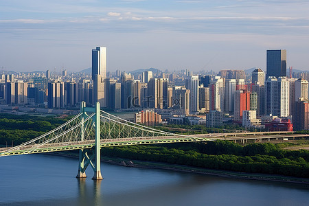 杨浦滨江背景图片_鸟瞰天际线和桥梁
