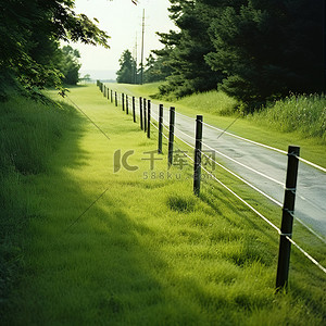 一条带有灯杆的小路通向自然绿地