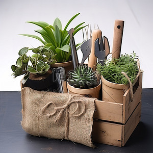 园艺工具背景图片_质朴的粗麻布盒，配有植物和园艺工具