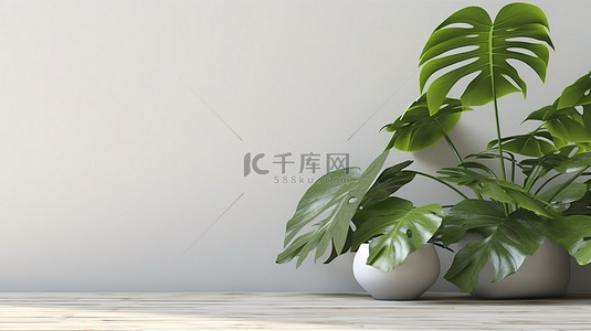 简单的 3D 渲染背景，配有裸木桌龟背竹植物和白色混凝土墙