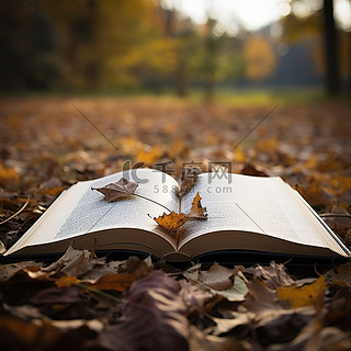 高清壁纸 书打开 秋天的落叶