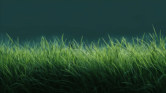 绿叶小植物背景图片_草坪背景