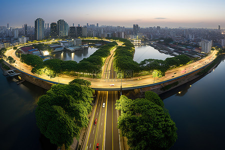 公路背景图片_一棵很大的绿树