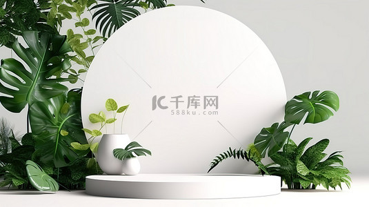 内容审计平台背景图片_3D 渲染的产品展示台，热带树叶在白色背景上投射阴影