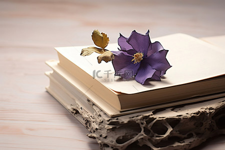紫色的花坐在书的上面