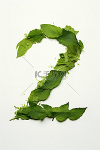 字母z由大叶子的绿叶组成