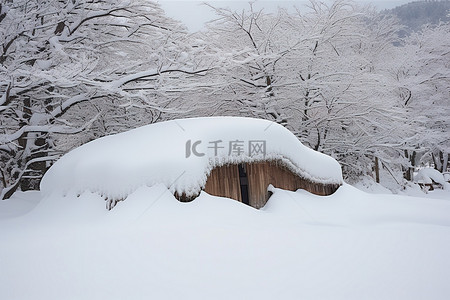 很背景图片_一个小棚子，里面有很多雪，树木堆得很高