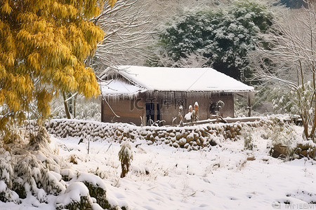 冬天竹子背景图片_安徽雪中的乡村小屋