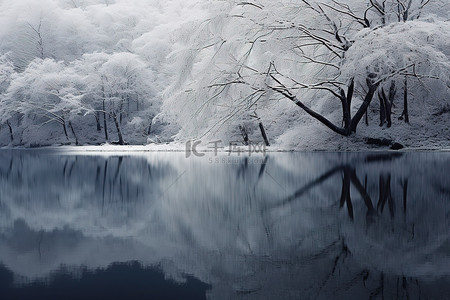 大湖景观上的白雪森林