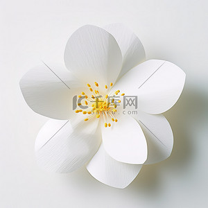 白色鸡蛋花背景背景图片_白色背景上的白色纸花