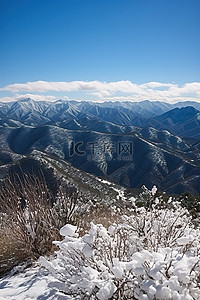 早春背景图片_早春的山顶景色