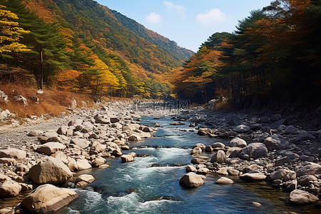 一条河从岩石山上流下来