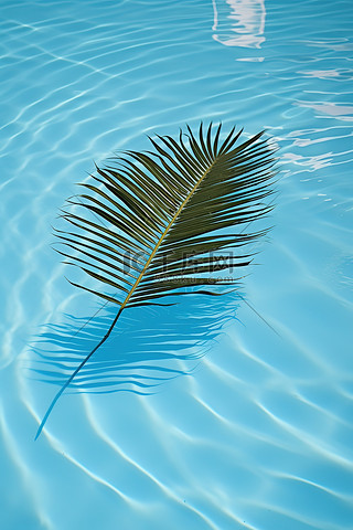 游泳池中央留下一片棕榈叶