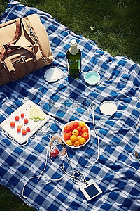 与家人一起在绿色毯子上野餐