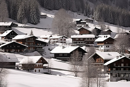 森林背景图片_瑞士席勒多夫滑雪村