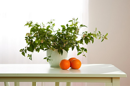 一张白色的桌子，上面放着一株植物