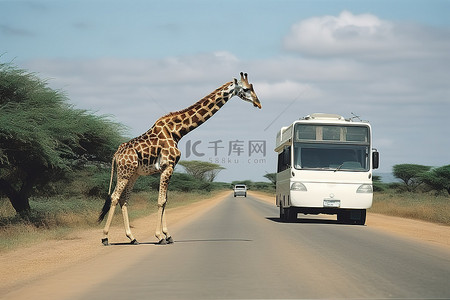 一只长颈鹿穿过一条空荡荡的马路，旁边停着一辆房车