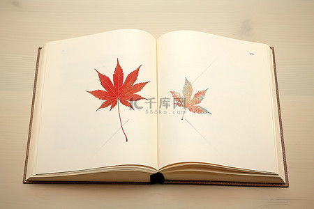 一本打开的书，上面有日本枫叶