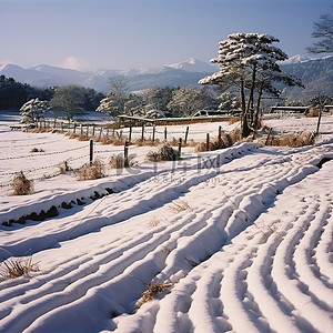 日本最高的山脉之一的山顶旁边的雪原