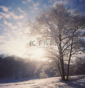 天气背景图片_阳光透过树照进来