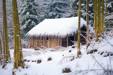 冬天竹子背景图片_白雪覆盖的山坡上的竹屋