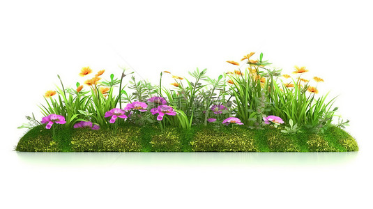 白色背景的 3d 插图隔离绿色草原与鲜​​花