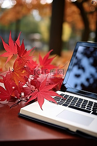 笔记本电脑平板电脑和秋天的树叶