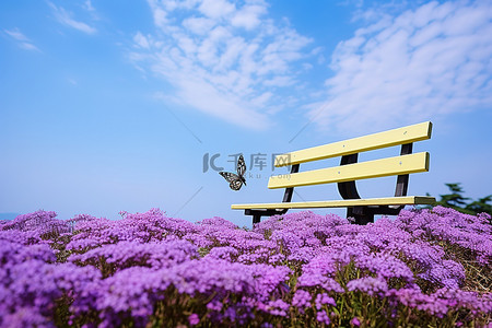 蓝紫色花背景图片_蓝天下紫色花朵上的长凳