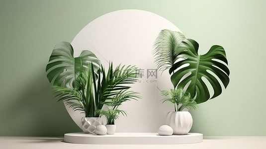 用于产品展示柜的龟背竹罐和水晶装饰平台的 3D 渲染