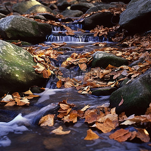 秋天背景图片_秋天岩石覆盖的山坡上的一条小溪