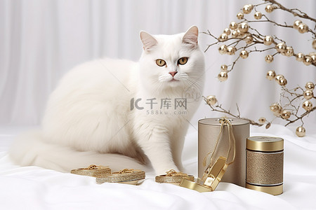 金雪背景图片_雪背景中的一只白猫和金罐