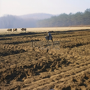 一个人在泥地里干活，而一只动物在耕地