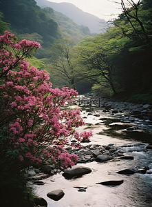 一条田园诗般的河流，有盛开的粉红色花朵和树木