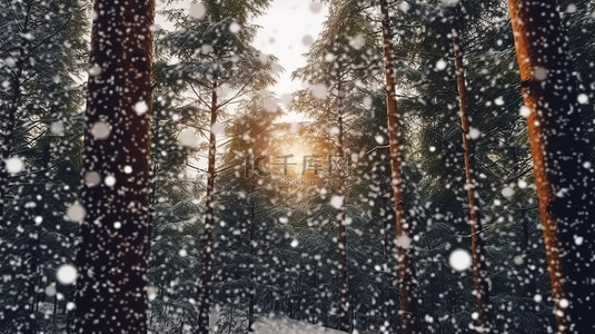 森林天空河水背景图片_风景如画的松树林中的薄雾降雪 3D 渲染