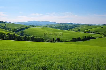 意大利托斯卡纳的一片绿色田野，有山丘