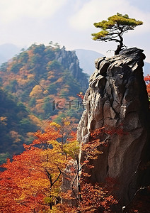 秋天在山附近的岩石顶上