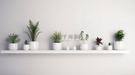 展示 3D 渲染盆栽植物的白色展示架