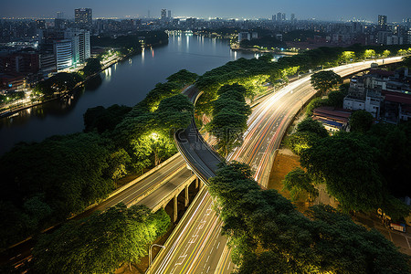 公路背景图片_一棵很大的绿树