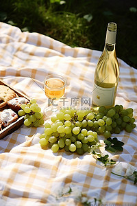 水果沙拉背景图片_野餐桌上野餐的食物