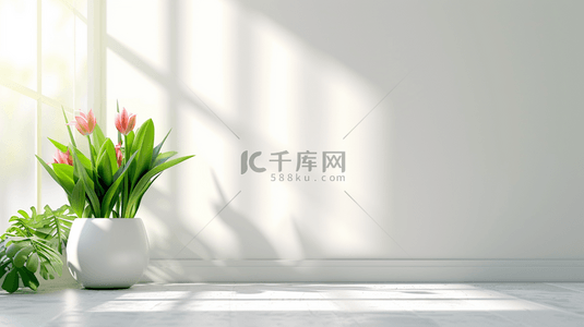 室内背景图片_白色简约室内场景清新花瓶盆栽的背景8