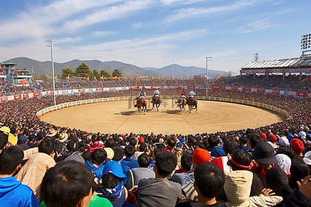 青岛背景图片_一大群人观看赛马