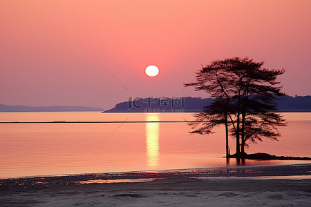 太阳从海湾升起到大海