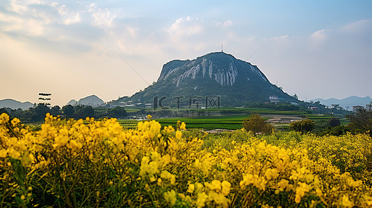 厦门背景图片_中国厦门