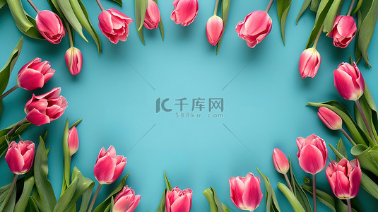 郁金香花朵美丽的框架背景图片