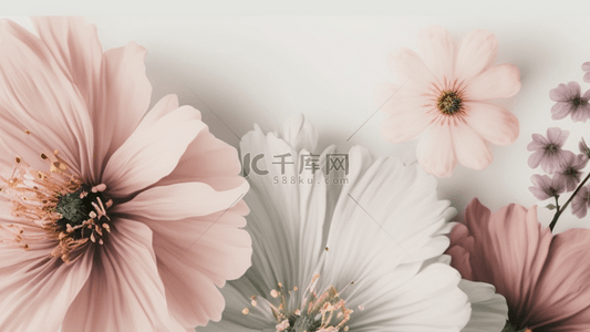 粉色花束背景图片_鲜花花朵母亲节美丽的背景