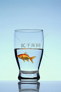 鱼在玻璃和水的水中游泳