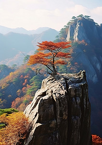 秋背景图片_秋天在山附近的岩石顶上
